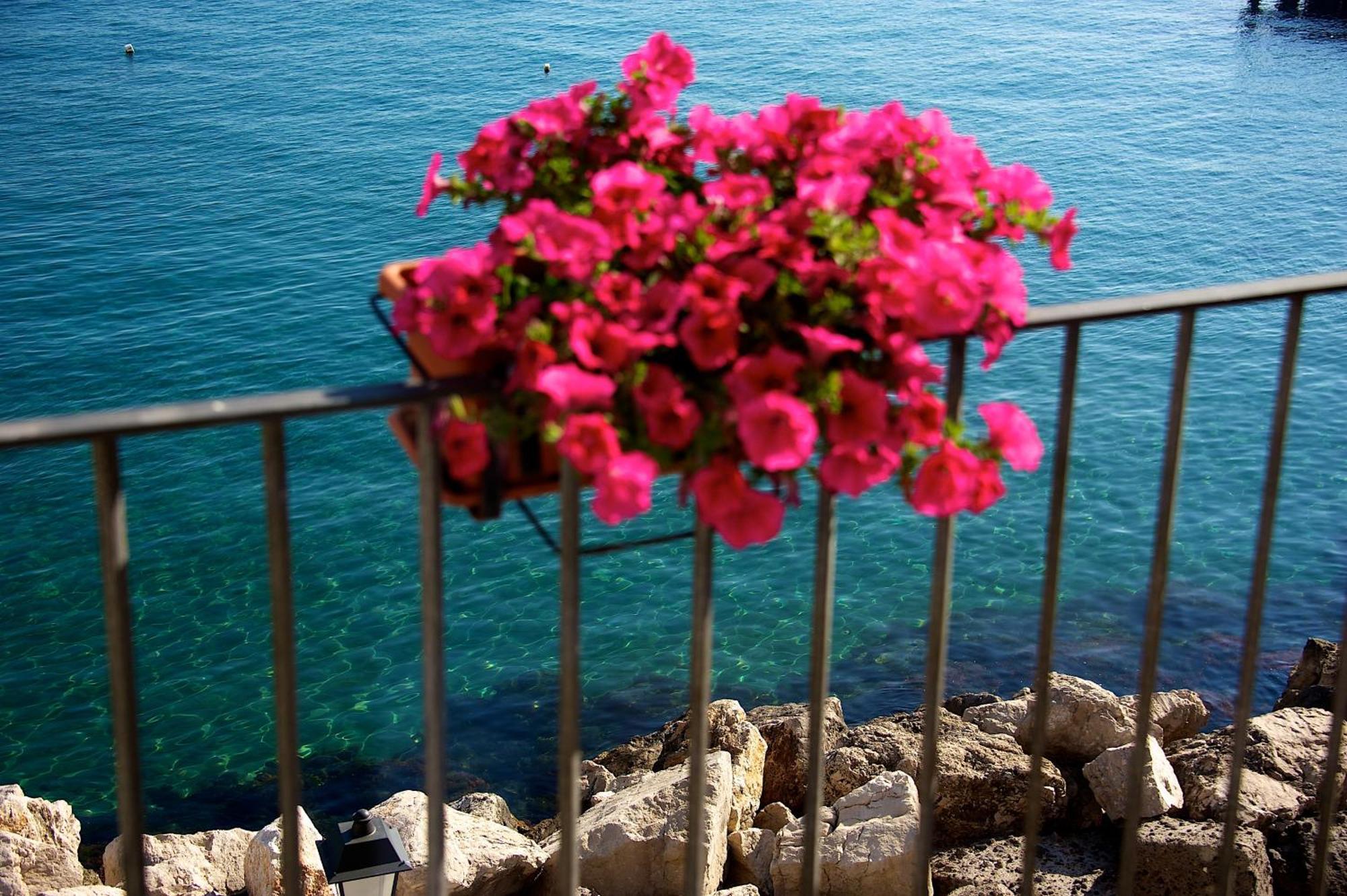 Villa Lieta Ischia Zewnętrze zdjęcie