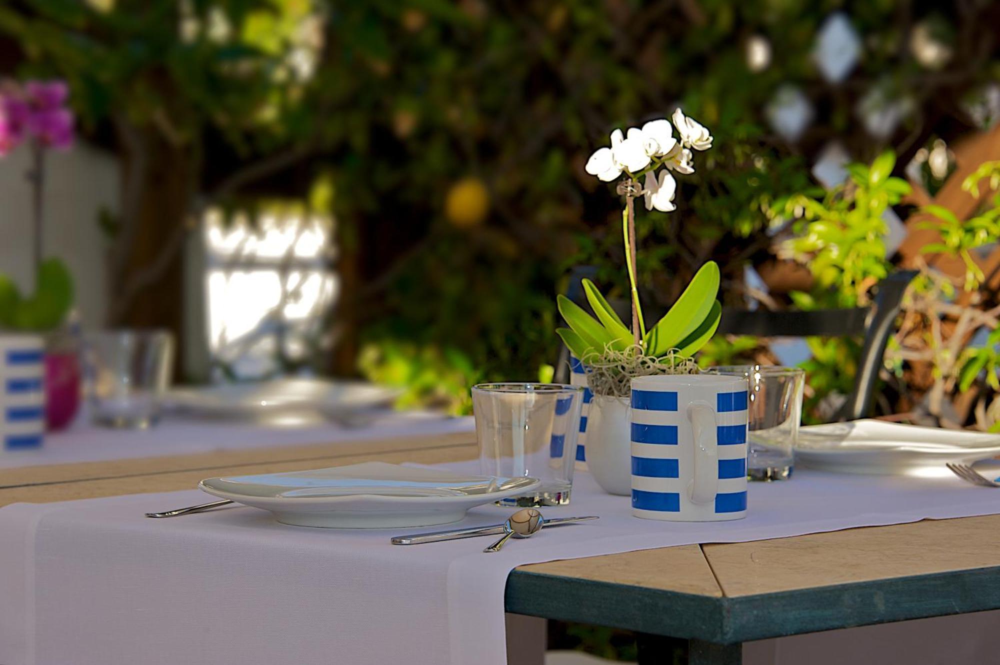 Villa Lieta Ischia Pokój zdjęcie